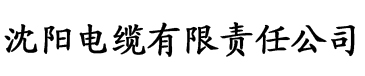 乡村小霸王电缆厂logo